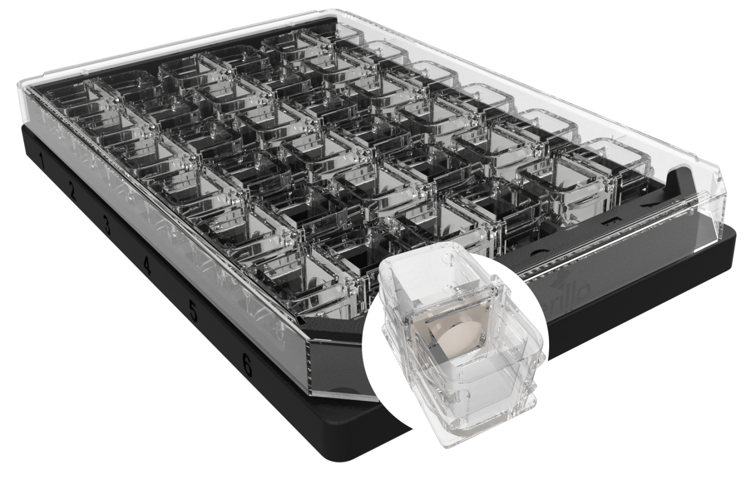 Cerillo's Co-Culture microplates have arrived!